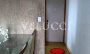 Imagem 7: Apartamento - Jardim Capivari - Campinas