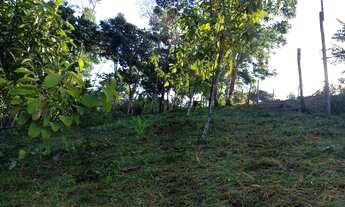 Imagem 6: Lote Residencial, vendo urgente. Ramal do Brasileirinho