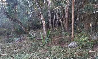 Imagem 7: Chácara em Quitandinha