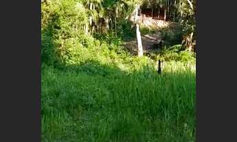 Imagem 3: Chácara em Juquitiba