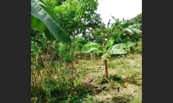 Imagem 2: Chacara valor a negociar