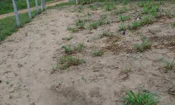 Imagem: Vendo terreno com casa