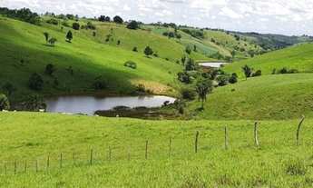 Imagem 5: Oportunidade: Fazenda em São Felipe, 375 Tarefas, rio margeando, Porteira Fechada