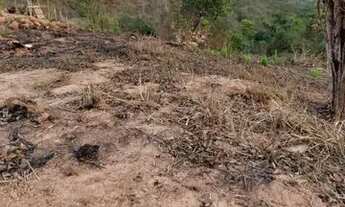 Imagem 7: Vendo /troco Chácara 2500m2 Pontal