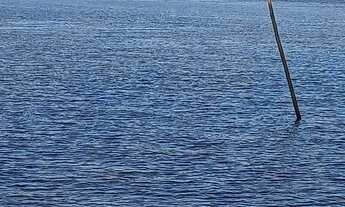 Imagem: Vendo terreno no ipixuna Miranda com365