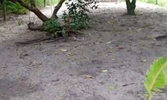 Imagem 6: Vende-se una casa em Camaçari