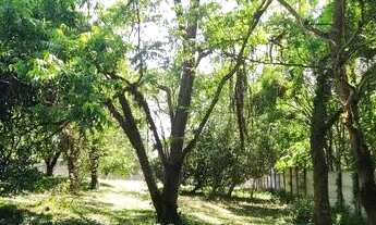 Imagem 5: Chácara com 2 Casas Documentação e 7.485m² em Suzano