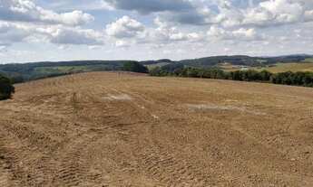 Imagem 3: 40 alqueires 30 lavoura Ivaí -PR