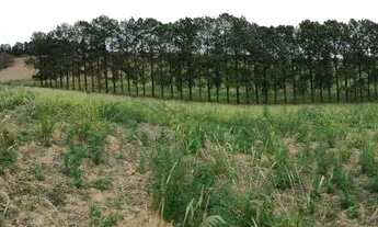 Imagem 3: Lote de 600m² em Igaratá em rua sem saída com vista para lagos e cachoeiras