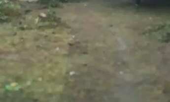 Imagem 3: Troca ou venda Casa com 1 dormitório