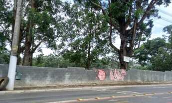 Imagem 13: Lote/Terreno para aluguel possui 2380 metros quadrados em Jardim Iguatemi - São Paulo - SP