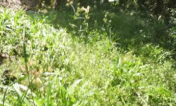 Imagem 6: Terreno itapoa loteamento verdes mares valor 35.000