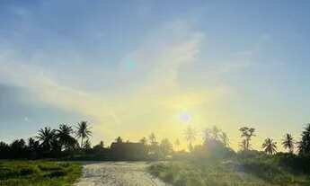 Imagem 2: Loteamento Lagoas Do Giral A 900 Metros Da Praia E A 2Km Do Centro De Paracuruvem Para Ess