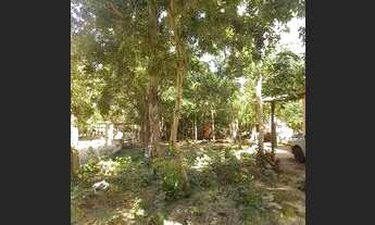 Imagem 2: Vende uma mine chácara na vila agrotins valor 50.000 mil