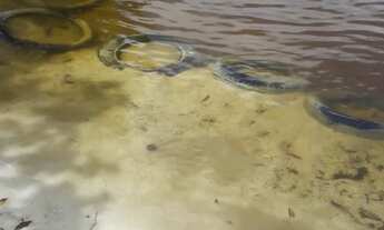 Imagem 3: Vende se terreno em mosqueiro