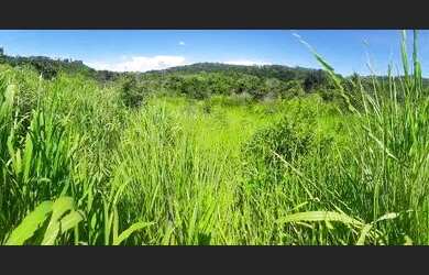 Imagem 7: Chácara a venda