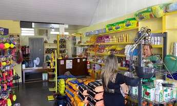 Imagem 2: Passo ponto pet shop