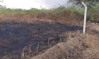 Imagem 4: Lotes em Conceição da feira