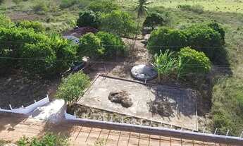 Imagem 4: Sítio produtivo em Arapiraca