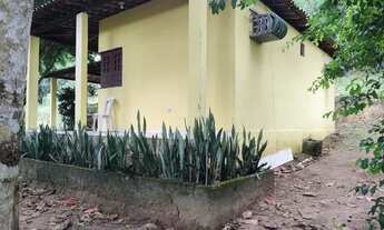 Imagem 5: Chácara a venda