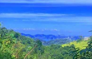 Imagem 5: 03t-10QMDU0 Terreno / lote com venda por R$250.000