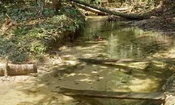 Imagem 5: Sitio muitas fruteira 100×600