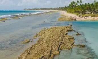 Imagem 7: Apartamento para venda possui 30 metros quadrados com 1 quarto em Muro Alto - Ipojuca - PE