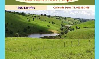 Imagem: Oportunidade Fazenda em São Felipe, 375