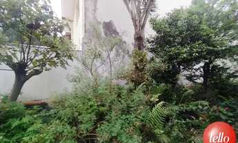 Imagem 5: São Paulo - Casa Comercial - Santana