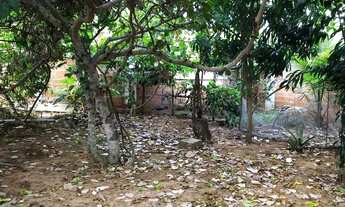 Imagem 3: Casa localizada em Ribeira do Pombal-Ba