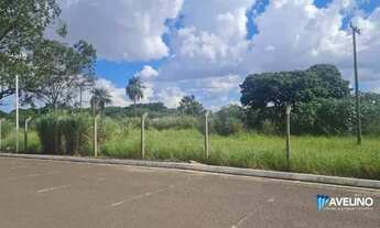 Imagem: Area Cônsul Assaf Trad