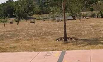 Imagem 3: Lote Jardins Porto, 305m