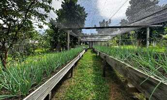 Imagem 4: Sítio com piscicultura Rod. Manoel Urbano, KM 53 AM070