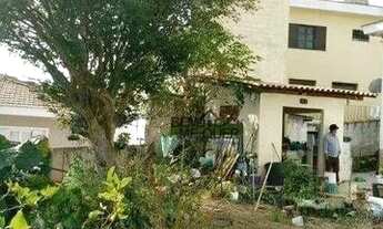 Imagem 4: Terreno à venda, 445 m² por R$ 990.000,00 - Parque São Domingos - São Paulo/SP