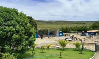 Imagem 2: Fazenda À Venda em Atalaia! Leia a Descrição!