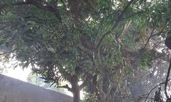 Imagem 3: Vende-se um lote na rua montevideu quadra 50 lote 25 parque das nações Aparecida de go