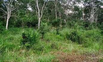 Imagem 6: Terreno 65.000m², as margens do Rio das Velhas, Jaboticatubas