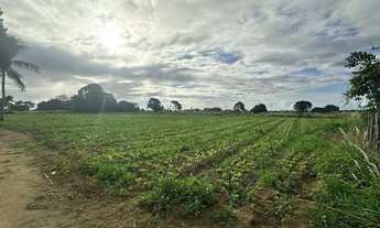 Imagem 7: Lindos terrenos próximos de São Gonçalo