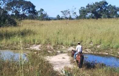 Imagem 6: Vendo 16.20 alqueires no município de Araguapaz