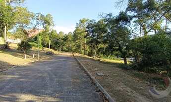 Imagem 5: Terreno de 454.95m² no bairro Ratones