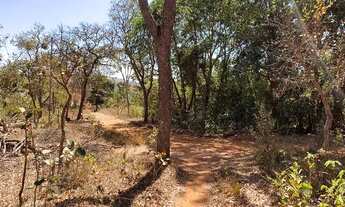 Imagem 7: Chácaras de 4000m² próximo ao lago de Três Marias