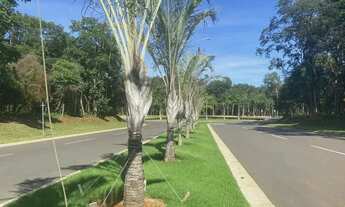 Imagem 4: Lote á venda no Jardins França - Goiânia - GO