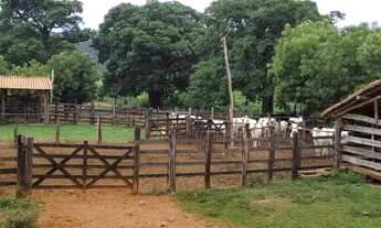 Imagem 5: Fazenda 1.512 há, casa sede e de caseiro, nascentes, com acesso ao rio cipó