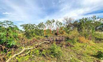 Imagem 4: Terreno à venda, 600 m² por R$ 110.000 - Pendotiba - Niterói/RJ - TE0929