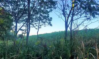 Imagem 6: Chacara, área de terra, sítio em Cafelândia