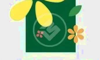 Imagem 2: FLORAIS ESMERALDA codigo: 131280