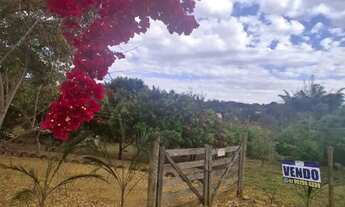 Imagem: Chácara disponível para venda!