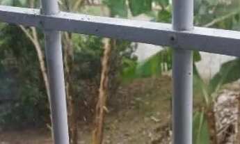 Imagem 4: Casa em Antonina-PR