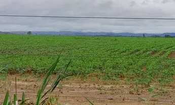 Imagem 6: Fazenda 208 Algueires em Colinas/GO