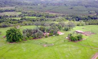 Imagem 3: Fazenda 36,0 alqueires em pecuária, 14 km de Ituiutaba MG